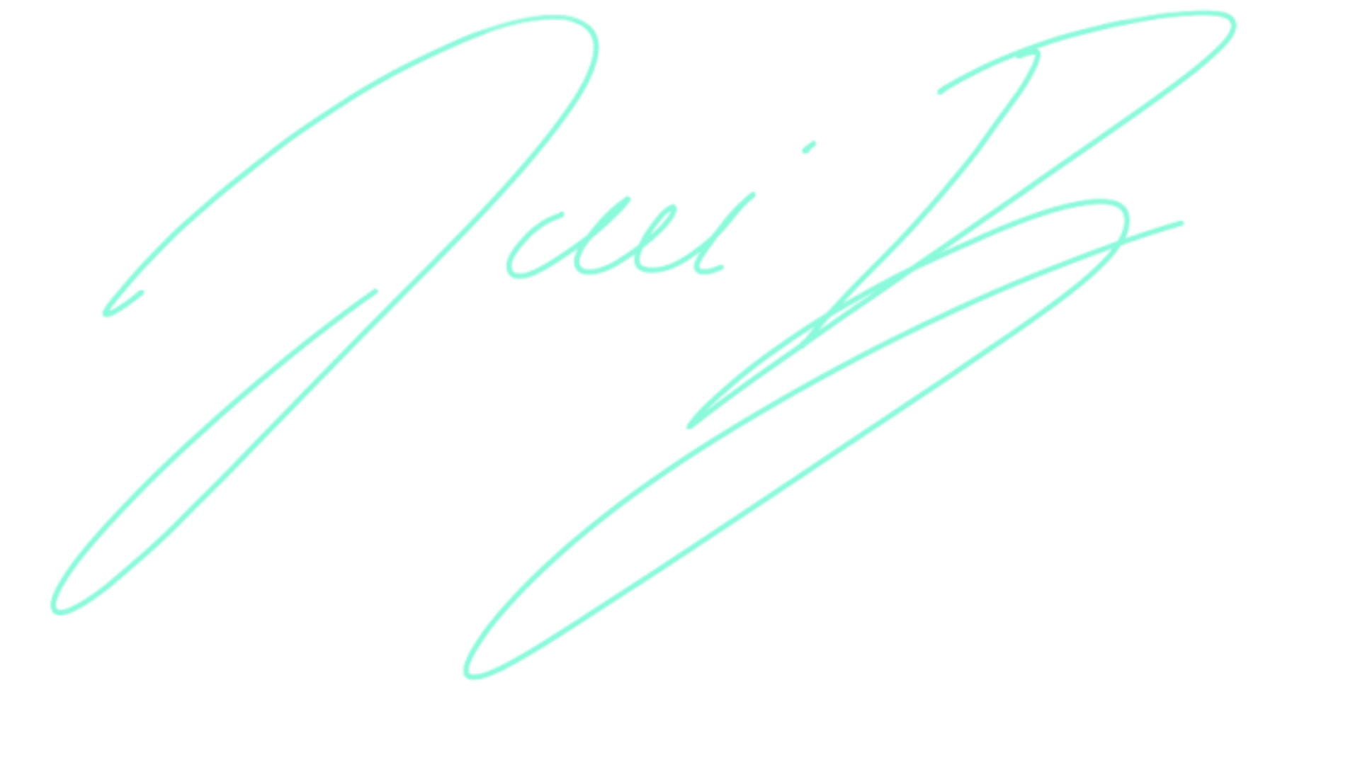 Jani Brajkovič signature
